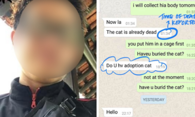 Man Allegedly Drowns & Kills Cat, Also Sends Nudes to Cat Rescuers While Looking For Adoptions - WORLD OF BUZZ 1