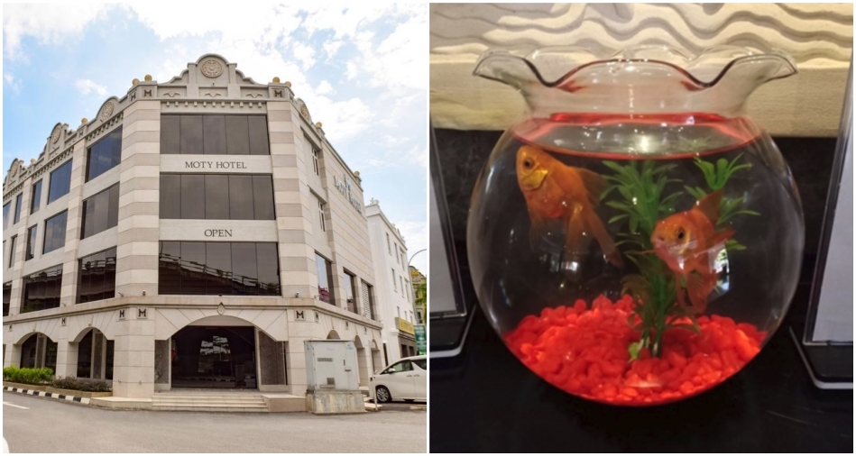 Melaka Hotel Offers Baby And Shark For Solo Travelers - WORLD OF BUZZ 1