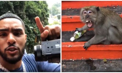 Batu Caves Monkey Becomes Internet Famous After Lunging At American Internet Personality - WORLD OF BUZZ
