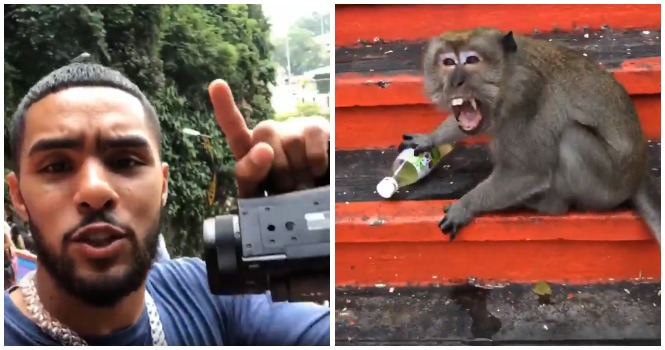 Batu Caves Monkey Becomes Internet Famous After Lunging At American Internet Personality - WORLD OF BUZZ