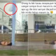 Someone Thought It Was Funny To Throw Water-Filled Plastic Bag On Sleeping Homeless Man - WORLD OF BUZZ