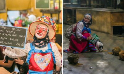 To Care For Stray Cats And Dogs, Perak Lady Dresses Up As A Clown For Funds - WORLD OF BUZZ 4