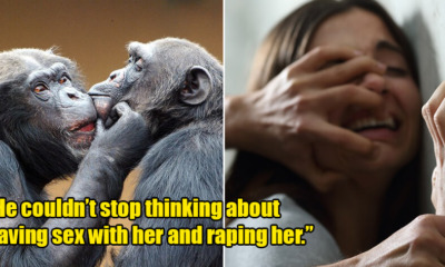 18yo Saw Chimpanzees Mating on TV Show, Gets Turned on & Tells Mum He Wants to Rape Her - WORLD OF BUZZ