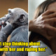 18yo Saw Chimpanzees Mating on TV Show, Gets Turned on & Tells Mum He Wants to Rape Her - WORLD OF BUZZ