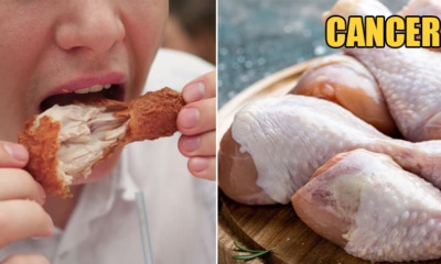Study: Eating Chicken Could Increase the Risk of Cancer - WORLD OF BUZZ