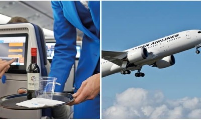 A Drunk Malaysian Student Wrestled Flight Attendants And Got His Student Visa Revoked - WORLD OF BUZZ