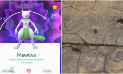 Because Of Shiny Mewtwo, He Became The Happiest Guy To Step On Dog Poop - WORLD OF BUZZ 2
