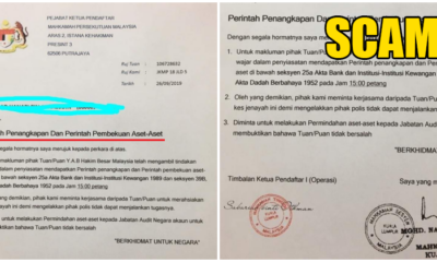 Beware: Scammers Are Now Sending "Official Government" Letters to Your Home Address - WORLD OF BUZZ 4