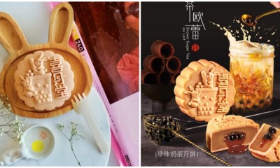 Boba Themed Mooncake That Might Pro-boba-ly Be Good - WORLD OF BUZZ 4