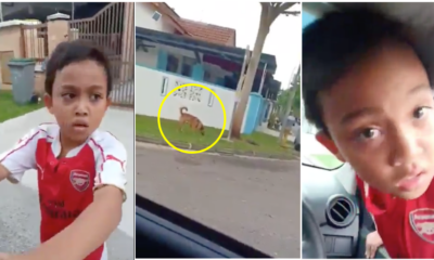 Boy Jumps Into Random Mak Cik's Car Because He Was Too Scared Of A Dog - WORLD OF BUZZ 5