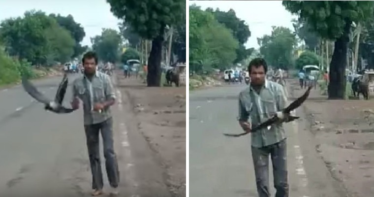 Crows Mercilessly Attack Innocent Man for 3 YEARS As "Revenge" for Their Dead Chick - WORLD OF BUZZ 3