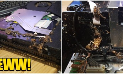 EWWWW!!! His PS4 Was Infested With Roaches And Apparently Its Common - WORLD OF BUZZ 18