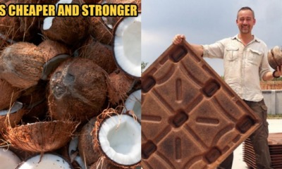 Fire Resistant Recycled Coconut Husks can Replace Wood to Make Shipping Pallets - WORLD OF BUZZ