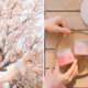 Forget Flying to Jeju For Cherry Blossoms, Visit This Thematic Innisfree Event Instead For Free Goodies & More! - WORLD OF BUZZ