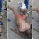 Gang Punishes Rapist By Stripping Him Naked & Allowing Dog to Tear Off His Genitals - WORLD OF BUZZ 5