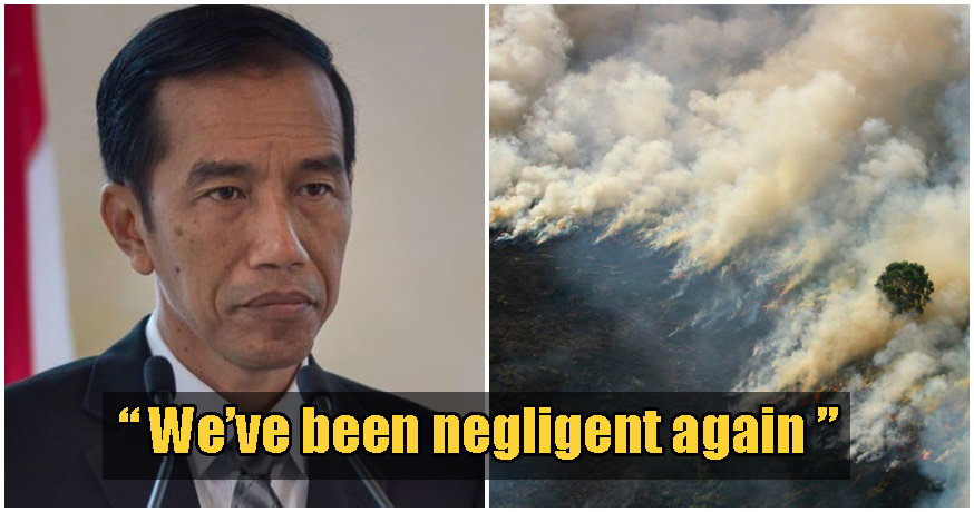 Indonesia Admits The Haze is Their Fault AT LAST, So... What Now? - WORLD OF BUZZ