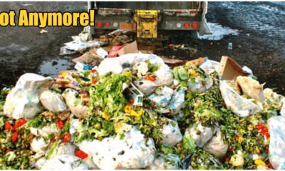 Italy Will Send Unsold Food To The Charity Instead of The Thrash, When Will It Be M'sia's Turn? - WORLD OF BUZZ 1