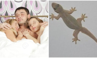 M'sian Man Caught Sleeping With Two Women, Says It's Cause He's Scared Of Cicak In His Room - WORLD OF BUZZ 1