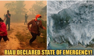 Riau Officially Declared State Of Emergency From Haze, Government Starting Evacuations Immediately - WORLD OF BUZZ