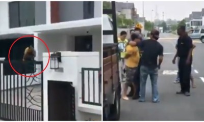 Watch: Johoreans Help Police Catch Burglar Who Tried to Escape by Jumping Over 3 Fences - WORLD OF BUZZ