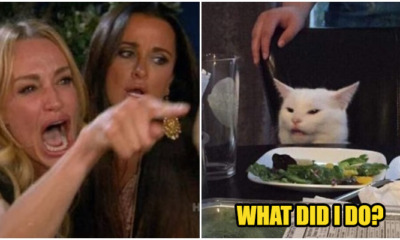 18 Hillarious Misread Sign Meme That Will Surely Make You Laugh - WORLD OF BUZZ 4