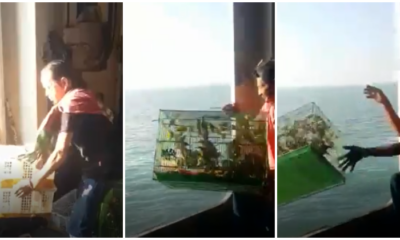 Smugglers Threw Exotic Animals Into The Ocean In Fear of Getting Caught By Marine Police - WORLD OF BUZZ