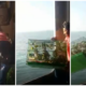 Smugglers Threw Exotic Animals Into The Ocean In Fear of Getting Caught By Marine Police - WORLD OF BUZZ