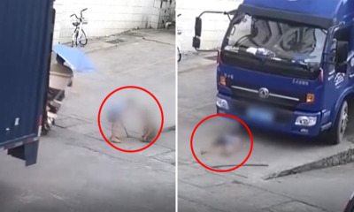 Disturbing Video Shows Lorry Driver Crushing Unsuspecting Boy Playing on the Road - WORLD OF BUZZ 1