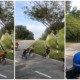 Foodpanda Rider Joins Lajak Bike Kids As They Engage In A Race - WORLD OF BUZZ 2