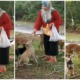 Malay Lady Feeding A Pack Of Dogs Gets Thumbs Up From Netizen, Says That It Was A First For Him - WORLD OF BUZZ 1