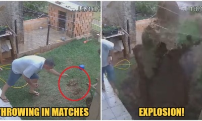 Man So Determined To Destroy Cockroach Nest, Uses Fire & Gasoline, Blows Up Garden Accidentally - WORLD OF BUZZ 2
