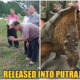 Netizens Outraged After People Released A Snapping Turtle Into The Putrajaya Lake - WORLD OF BUZZ