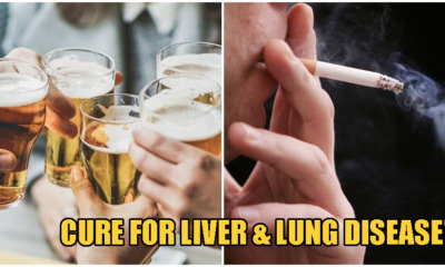 Scientists May Soon CURE Liver & Lung Disease Caused By Excessive Drinking & Smoking! - WORLD OF BUZZ