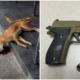 "They bit my kids" Says Man Who Mercilessly Shot 5 Dogs To Death Using Air Gun In Shah Alam - WORLD OF BUZZ 4