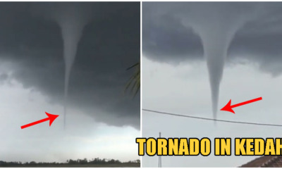 Video: Sudden Tornado In Kedah Damages Over 2 Dozen Homes in 3 Kampungs, Sends Locals Panicking - WORLD OF BUZZ