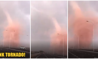 Watch: Man Drives Into Pink Tornado in Johor Believed to Be Caused by Chemical Pollution - WORLD OF BUZZ
