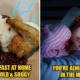 X Struggles All M’sians Who Are NOT Morning People Will Definitely Relate to - WORLD OF BUZZ 9