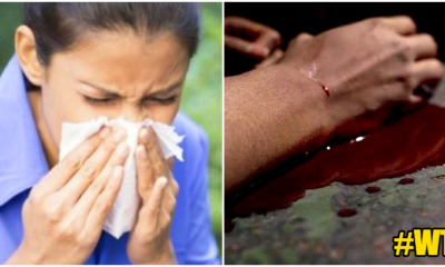 20 yo sabah lady been living with a corpse for 4 days straight - WORLD OF BUZZ 4