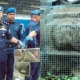 A Smuggling Attempt Involving 642 Exotic Animals was Busted by Malaysian Marine Cops - WORLD OF BUZZ