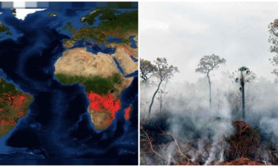 Africa On Fire: A Story That The World Conveniently Forgot - WORLD OF BUZZ 2