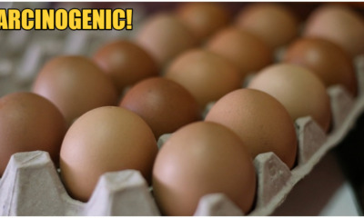 Beware: Indonesian Eggs Are Now Contaminated With Carcinogens, Hazardous to Health - WORLD OF BUZZ