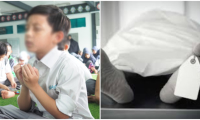 Bull - WORLD OF BUZZ