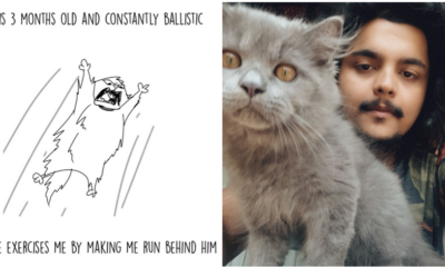 Guy Illustrates How His Adopted Cat Helped Him Deal With Depression - WORLD OF BUZZ 10