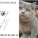 Guy Illustrates How His Adopted Cat Helped Him Deal With Depression - WORLD OF BUZZ 10