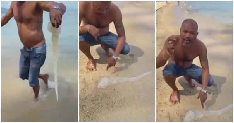 Man Manhandles Dangerous Jellyfish And Gives Tips If You Are Stung - WORLD OF BUZZ 1