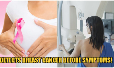New Test Can Detect Breast Cancer Up To FIVE YEARS Before Symptoms Appear - WORLD OF BUZZ