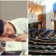 Parliament Members Will Be Given Room To Nap After They Said They Were Tired - WORLD OF BUZZ 2