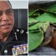 PDRM: Growing Ketum Plants Can Help With The Betterment of Malaysia - WORLD OF BUZZ 1