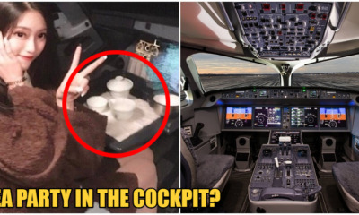 Pilot Banned For Life After Allowing Pretty Female Passenger To "Yumcha" In Cockpit - WORLD OF BUZZ 2