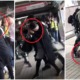 Policemen Pepper Spray Pregnant Lady Twice, Brutally Wrestle Her To The Ground After Argument - WORLD OF BUZZ 1